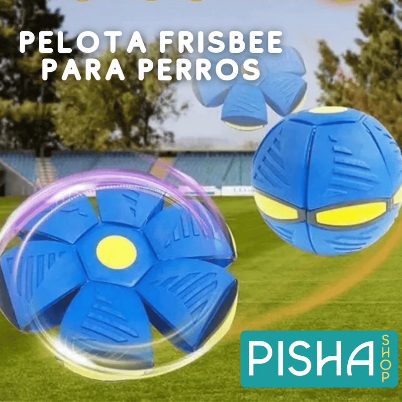 Pelota Frisbee para perros