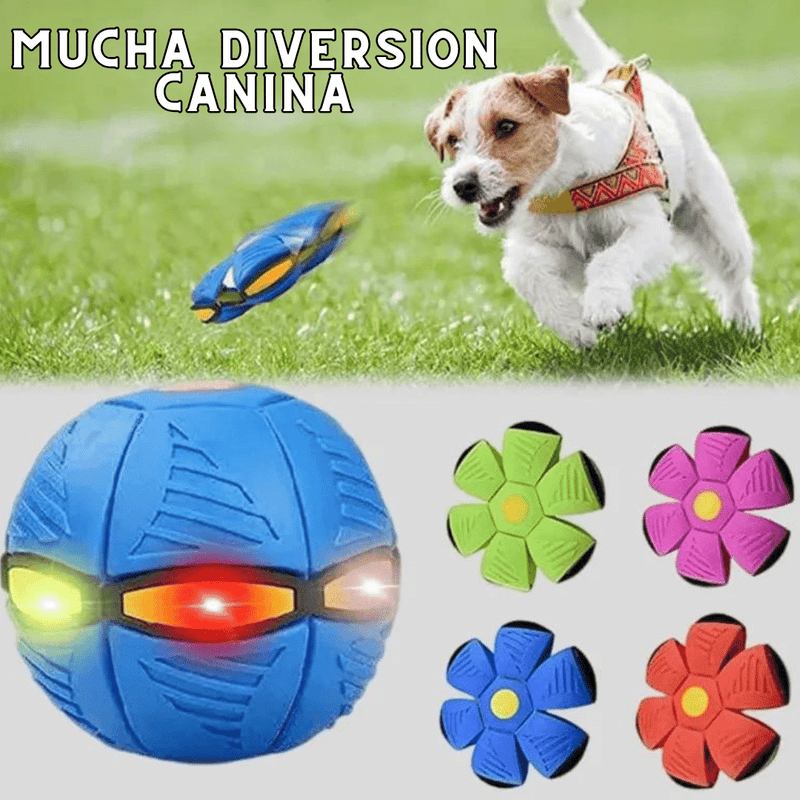 Pelota Frisbee para perros