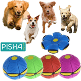 Pelota Frisbee para perros