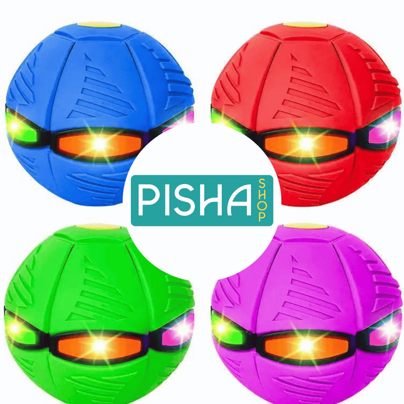 PELOTA FRISBEE