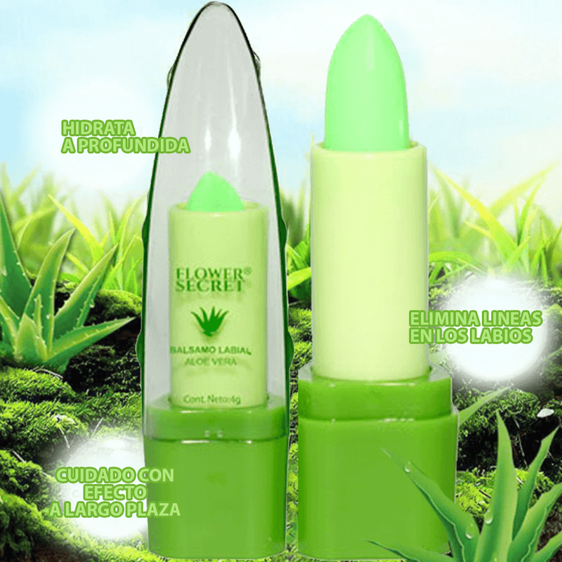 Labial de Aloe Vera al 99% - Hidratación profunda en tus labios🎋 💄